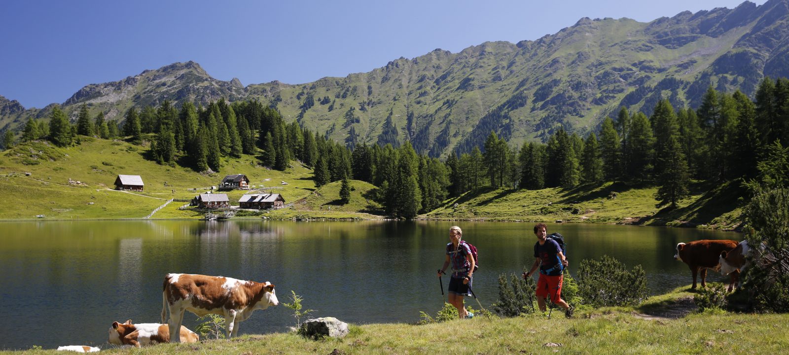 137517 69A3175 C Schladming Dachstein Raffalt