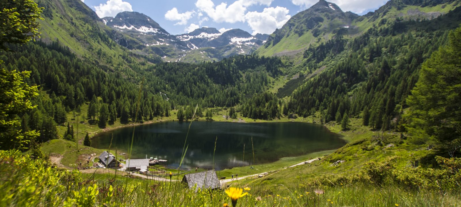 Duisitzkarsee Im Sommer 003 © Gerhard Pilz 2016