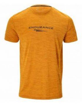Endurance Shirt 2495 Statt 3490